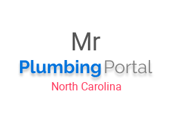 Mr Plumber