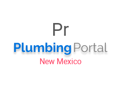 Professional Plumbing LLC