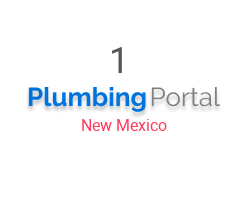 1 American Plumbing & Sewer