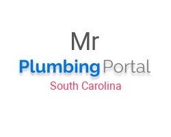 Mr. Plumber