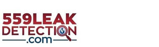 559 Leak Detection