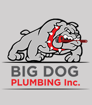 Big Dog Plumbing in Taunton