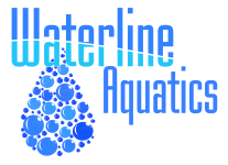 Waterline Aquatics